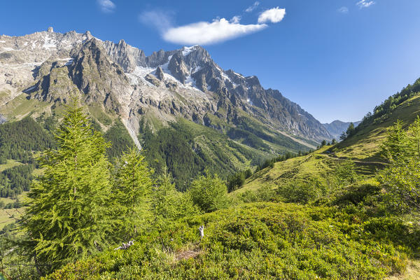 View of the Grandes Jorasses, Mont Blanc Massif (Ferret Valley, Courmayeur, Aosta province, Aosta Valley, Italy, Europe)
