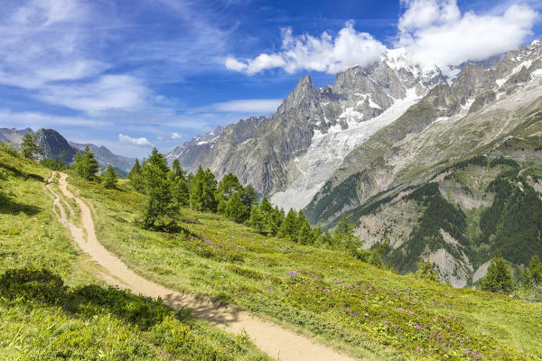 A view of the Mont Blanc Massif from the path to the Bertone Refuge during the Mont Blanc hiking tours (Ferret Valley, Courmayeur, Aosta province, Aosta Valley, Italy, Europe)
