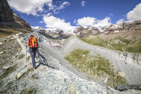 A trekker is walking in front of the Monte Rosa Massif (Champoluc, Ayas Valley, Aosta province, Aosta Valley, Italy, Europe)
