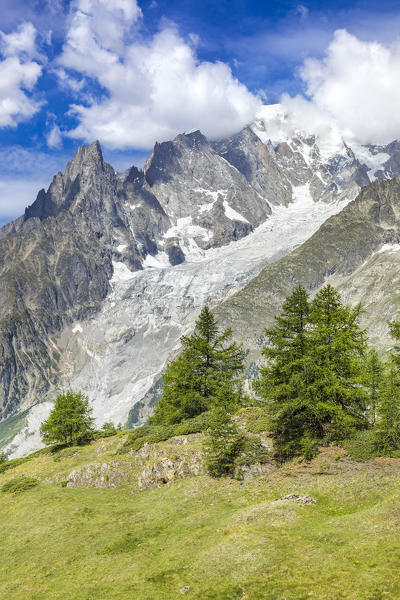 A view of the Mont Blanc Massif from the path to the Bertone Refuge during the Mont Blanc hiking tours (Ferret Valley, Courmayeur, Aosta province, Aosta Valley, Italy, Europe)
