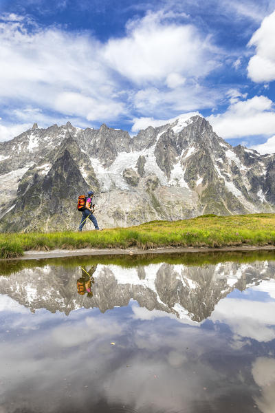 A trekker is walking on the Mont de la Saxe in front of Grandes Jorasses during the Mont Blanc hiking tours (Ferret Valley, Courmayeur, Aosta province, Aosta Valley, Italy, Europe) (MR)
