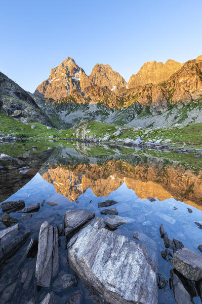 The Monviso Peak reflected in a small alpine lake at sunrise (Fiorenza Lake, Pian del Re, Monviso Natural Park, Po Valley, Crissolo, Cuneo province, Piedmont, Italy, Europe)