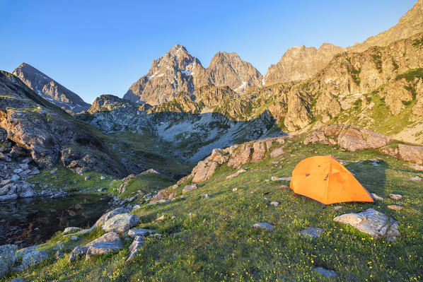 A tent in front of the Monviso Peak at sunrise (Fiorenza Lake, Pian del Re, Monviso Natural Park, Po Valley, Crissolo, Cuneo province, Piedmont, Italy, Europe)