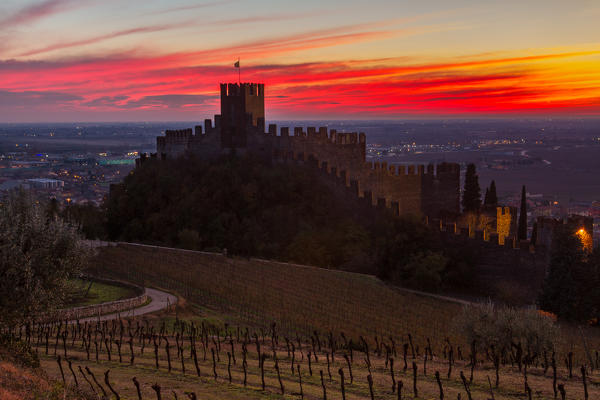 Europe, Italy, Veneto. The Soave castle among vineyards and olive trees on the hills Lessini in Verona