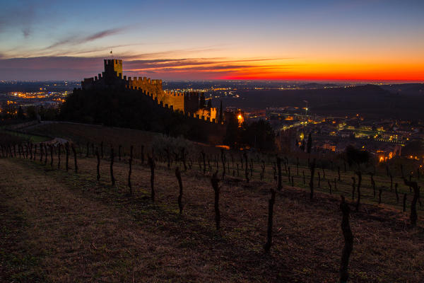 Europe, Italy, Veneto. The Soave castle among vineyards and olive trees on the hills Lessini in Verona