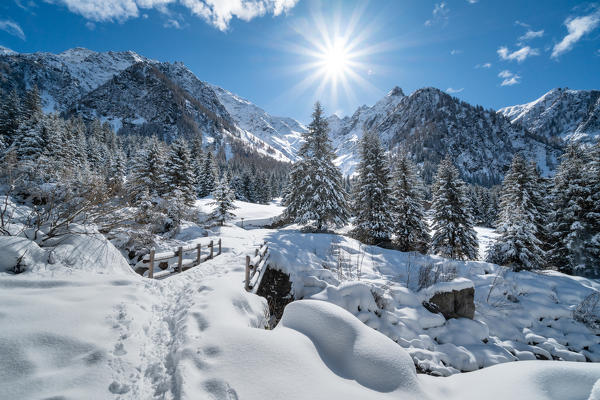 Winter mountain landscape with snowcapped trees and sunlight in backlight. Rezzalo valley, SOndalo, Sondrio district, Valtellina, Alps, Lombardy, Italy, Europe.