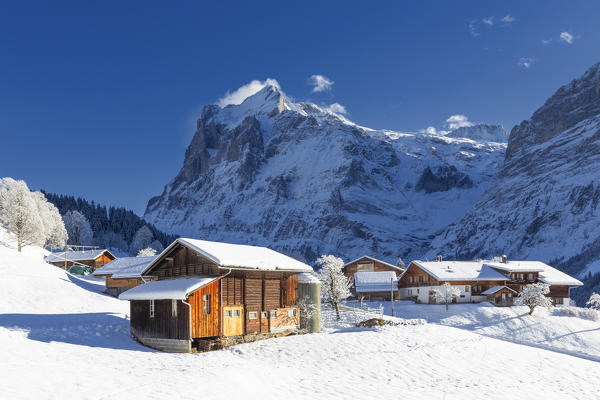 Traditional houses after a snowfall. Grindelwald, Canton of Bern, Switzerland, Europe.