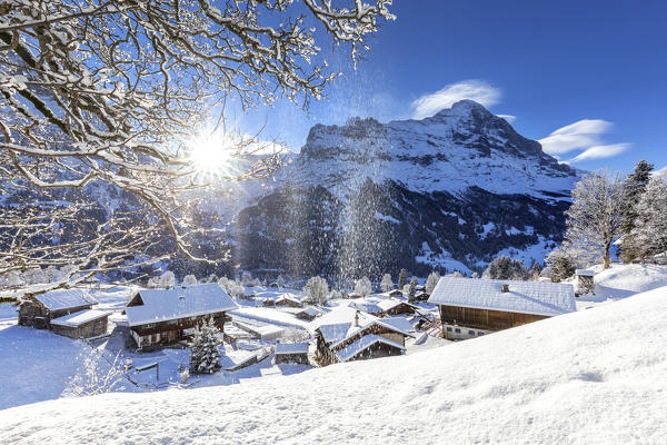 Traditional houses after a snowfall. Grindelwald, Canton of Bern, Switzerland, Europe.