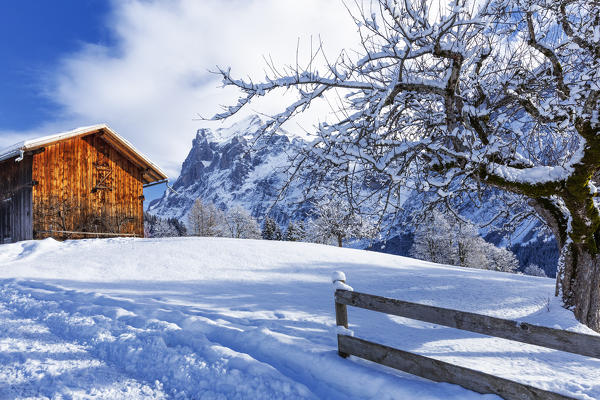 Traditional hut in Grindelwald, Canton of Bern, Switzerland, Europe.