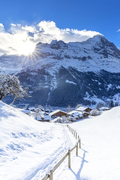 Traditional houses after a snowfall. Grindelwald, Canton of Bern, Switzerland, Europe.