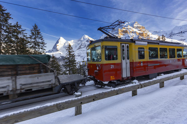 Transit of the train to Murren, Lauterbrunnen valley, Canton of Bern, Switzerland, Europe.