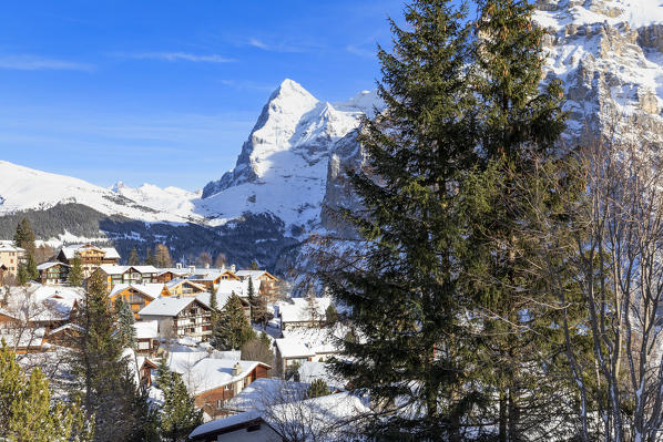 The traditional village with Eiger in the background. Murren, Lauterbrunnen valley, Canton of Bern, Switzerland, Europe.