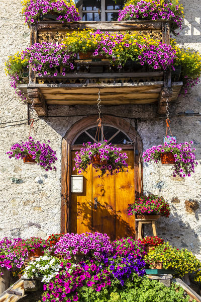 Flowers at the entrance to a traditional house. Livigno, Valtellina, Lombardy, Italy, Europe.