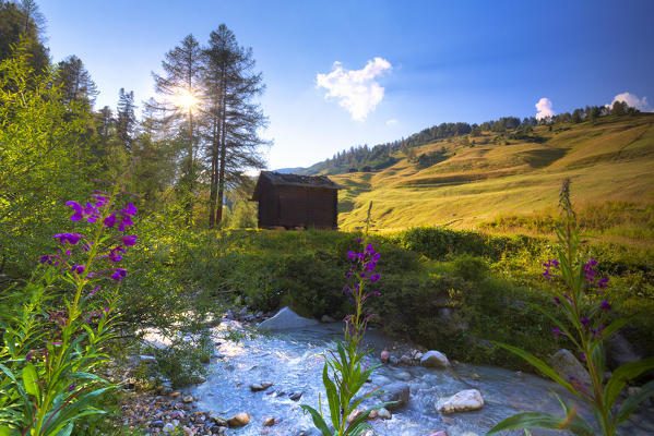 Traditional hut along a creek with sun in the background. Livigno, Valtellina, Lombardy, Italy, Europe.