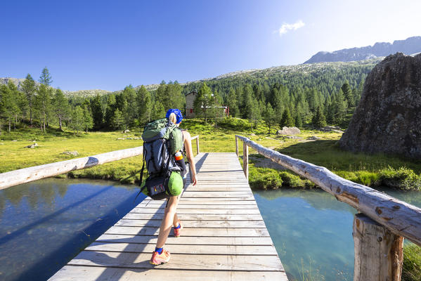 A hiker walks on the wood bridge. Valmalenco, Valtellina, Lombardy, Italy, Europe.