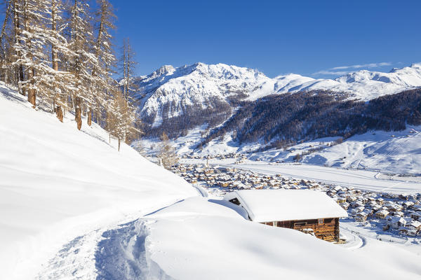 Winter path with a traditional hut in the winter scenery. Livigno, Valtellina, Lombardy, Italy, Europe.