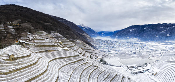 Aerial view of vineyards with snow. Bianzone, Valtellina, Sondrio province, Italy, Europe.