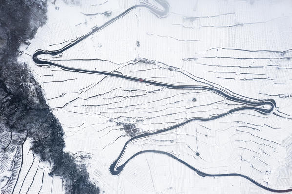 Aerial view of a street in the vineyards in winter. Poggiridenti, Valtellina, Sondrio province, Italy, Europe.