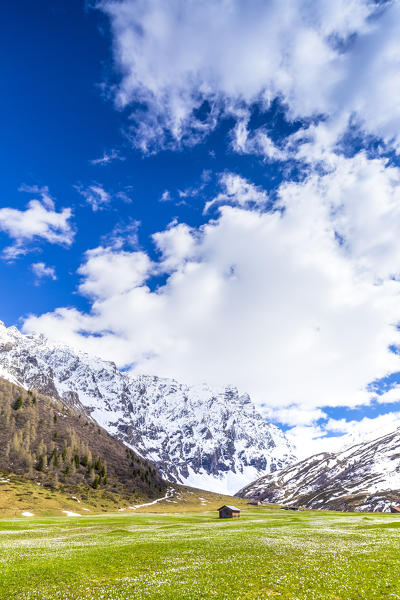 Lonely hut in Val Radons(Radons valley), Albula region, Canton of Grisons, Switzerland, Europe.