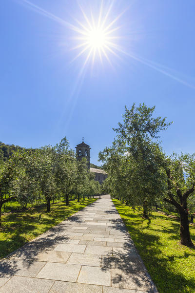 Piona Abbey(Abbazia Priorato di Piona), Piona, Province of Lecco, Como Lake, Italy, Europe.