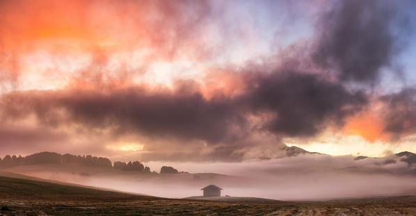 Colors of sunrise illuminates fog with a hut and a cow in silhouette. Seiser Alm, Dolomites, province of Bolzano, South Tirol, Italy, Europe.