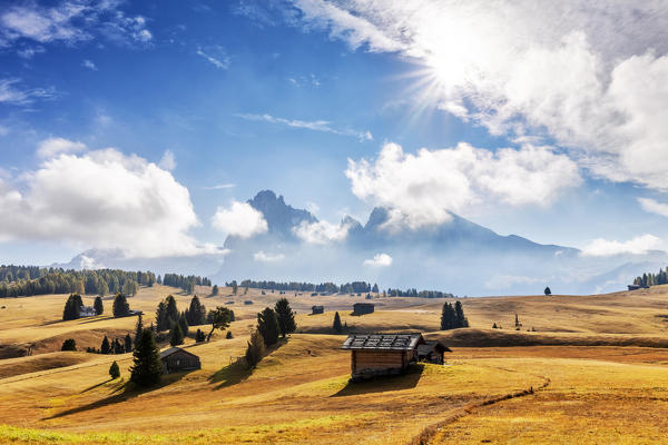 The plateau of Seiser Alm during autumn. Seiser Alm, Dolomites, province of Bolzano, South Tirol, Italy, Europe.