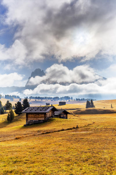 The plateau of Seiser Alm during autumn. Seiser Alm, Dolomites, province of Bolzano, South Tirol, Italy, Europe.