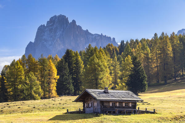 A traditional hut with the Sassolungo in the background. Seiser Alm, Dolomites, province of Bolzano, South Tirol, Italy, Europe.