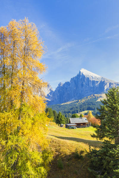 A traditional hut with the Sassopiatto peak in the background. Seiser Alm, Dolomites, province of Bolzano, South Tirol, Italy, Europe.