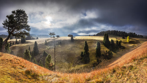 The sun filters between fog and illuminats autumn colors. Seiser Alm, Dolomites, province of Bolzano, South Tirol, Italy, Europe.