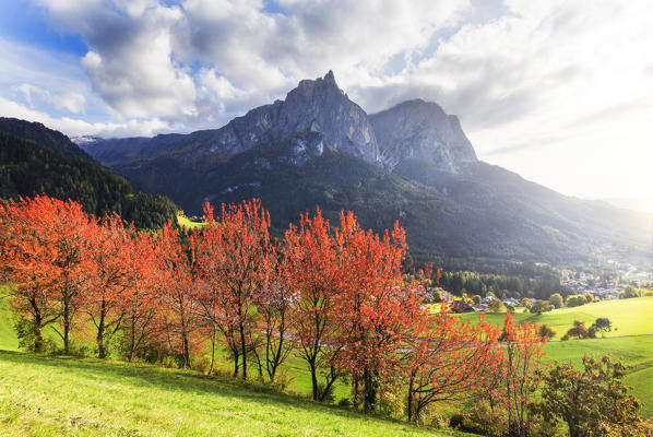 Sunlight illuminates red leafs of cherry trees. Siusi allo Sciliar, Dolomites, province of Bolzano, South Tirol, Italy, Europe.