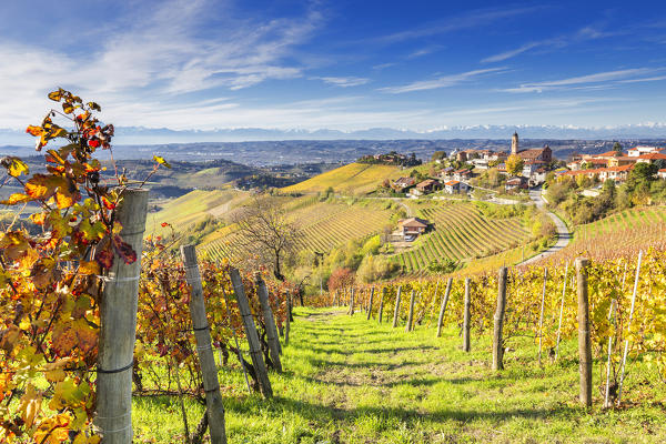 Village of Treiso during autumn. Barbaresco region, Piedmont, Italy, Europe.