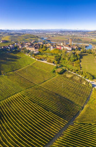 Aerial view of Barbaresco village with Tanaro river in the background. Barbaresco region, Piedmont, Italy, Europe.