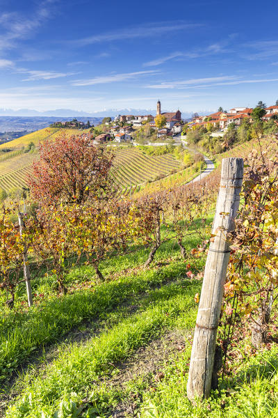 Village of Treiso during autumn. Barbaresco region, Piedmont, Italy, Europe.