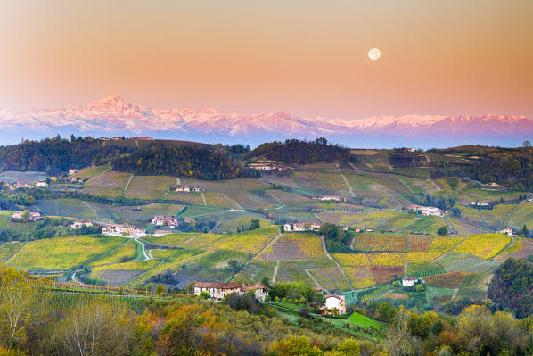 Vineyard of Barolo wine region during sunrise with the moon and the Monviso peak in the background. Serralunga d'Alba, Langhe, Piedmont, Italy, Europe.