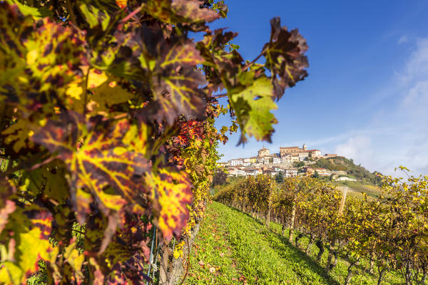 The village of La Morra from the vineyards in autumn. Barolo wine region, Langhe, Piedmont, Italy, Europe.