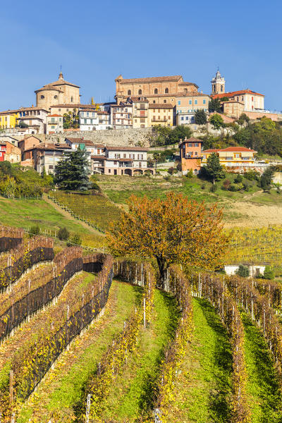 The village of La Morra from the vineyards in autumn. Barolo wine region, Langhe, Piedmont, Italy, Europe.