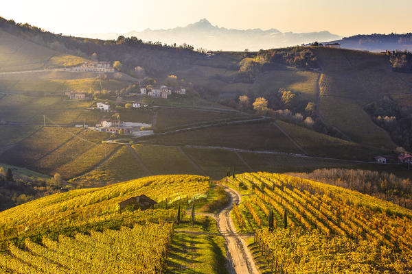 Road between vineyard with the Monviso peak in the background. Serralunga d'Alba, Langhe, Piedmont, Italy, Europe.