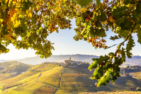 Village of Castiglione Falletto between autumn colors. Barolo wine region, Langhe, Piedmont, Italy, Europe.