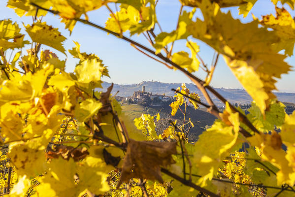 Village of Castiglione Falletto between autumn colors. Barolo wine region, Langhe, Piedmont, Italy, Europe.