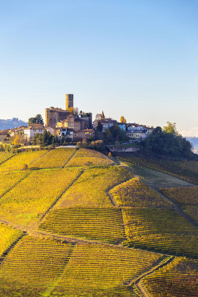 Village of Castiglione Falletto during autumn. Langhe, Piedmont, Italy, Europe.