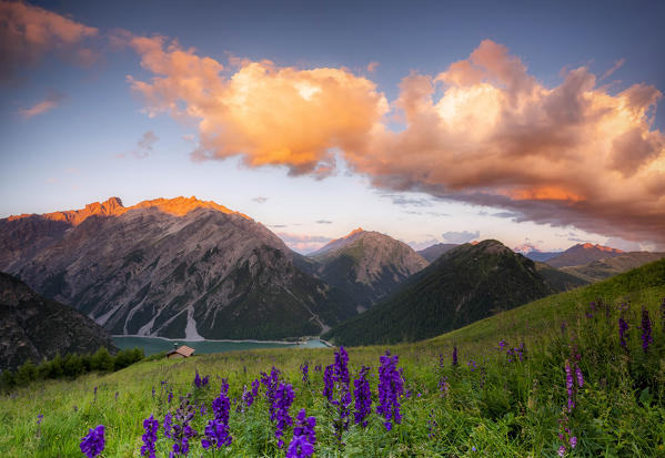 Colourful sunset with lonely cabin and orang clouds and pink flowers in the foreground. Livigno valley, Valtellina, Lombardy, Italy, Europe.