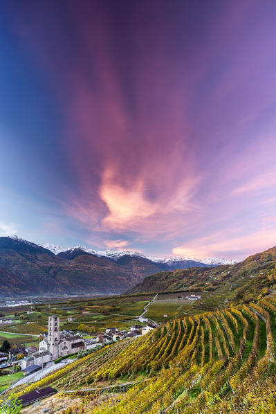 Church of Bianzone in the vineyards surrounded by a pink cloud at sunrise.