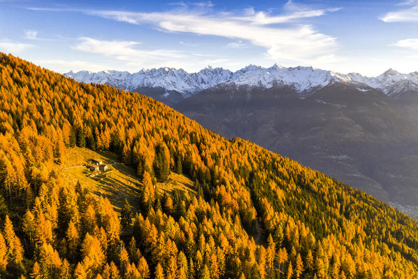 Group of huts in the forest illuminated by sun in autumn. Snowy mountains in the background. Alpe Mara, Valtellina, Lombardy, Italy, Europe.