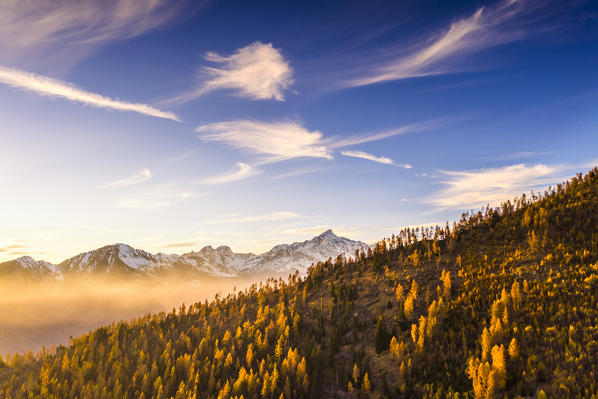 Sunlight illuminates fog, trees and clouds in autumn. Alpe Mara, Valtellina, Lombardy, Italy, Europe.