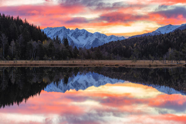 Adamello group is reflected in the Pian di Gembro pond at sunrise. Valtellina, Lombardy, Italy, Europe.