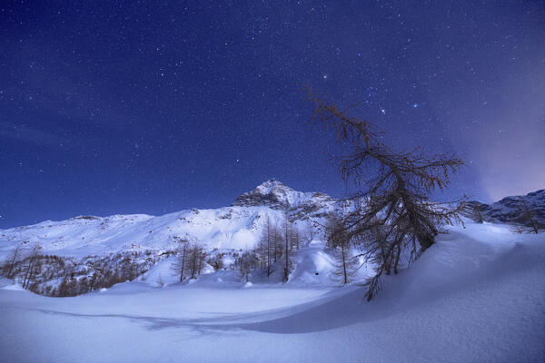 Night of full moon with view on Pizzo Scalino in winter. Valmalenco, Valtellina, Lombardy, Italy, Europe