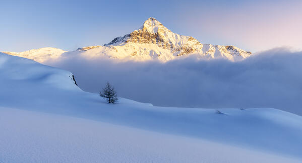 Colors of sunset is reflected on the fresh snow with Pizzo Scalino illuminated by last sun. Valmalenco, Valtellina, Lombardy, Italy, Europe