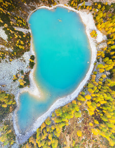 Zenithal aerial view of Lake Lagazzuolo in autumn. Valmalenco, Valtellina, Lombardy, Italy, Europe.