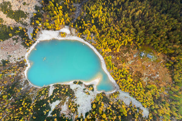 Zenithal aerial view of Lake Lagazzuolo in autumn. Valmalenco, Valtellina, Lombardy, Italy, Europe.